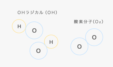 酸素分子（O2）